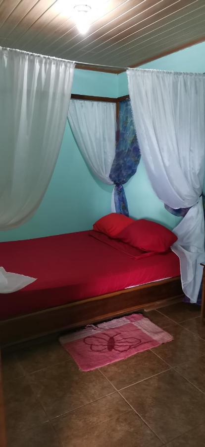 Cabinas Mitchaelle'S Puerto Viejo de Talamanca ภายนอก รูปภาพ