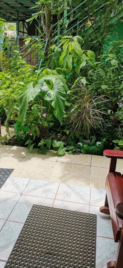 Cabinas Mitchaelle'S Puerto Viejo de Talamanca ภายนอก รูปภาพ