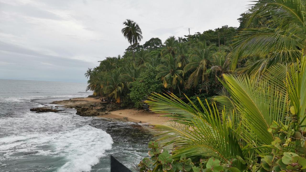 Cabinas Mitchaelle'S Puerto Viejo de Talamanca ภายนอก รูปภาพ