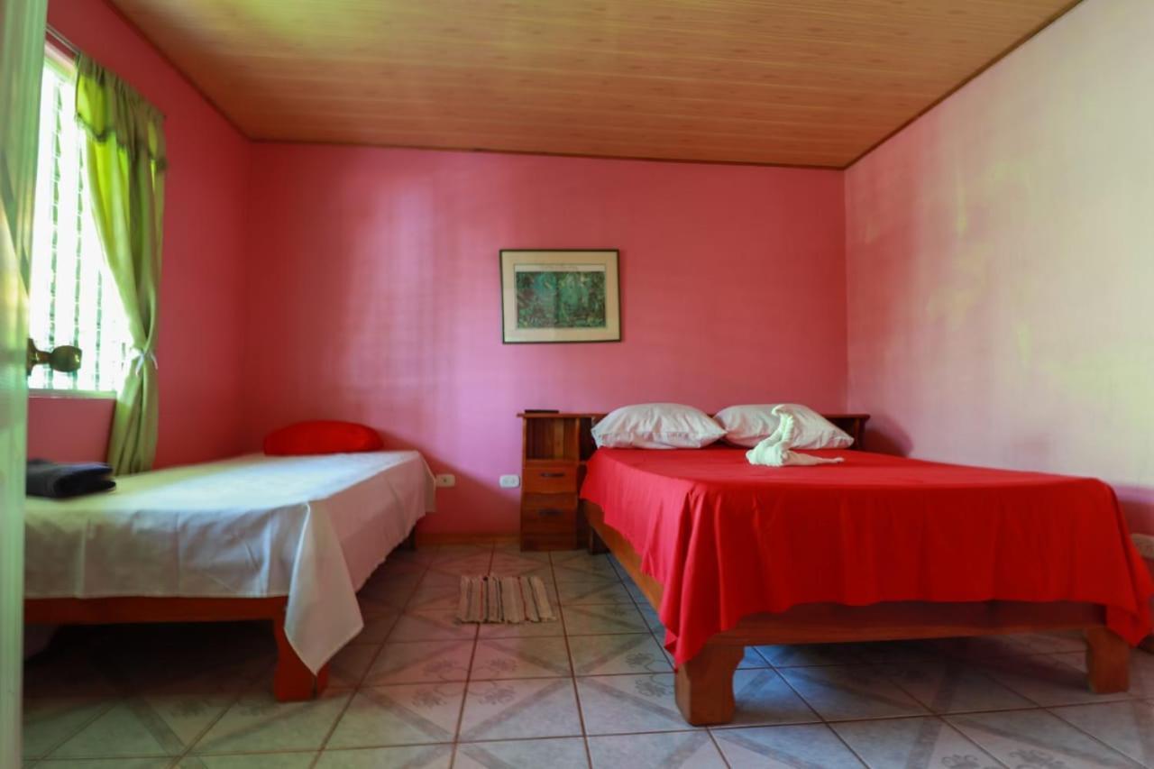 Cabinas Mitchaelle'S Puerto Viejo de Talamanca ภายนอก รูปภาพ