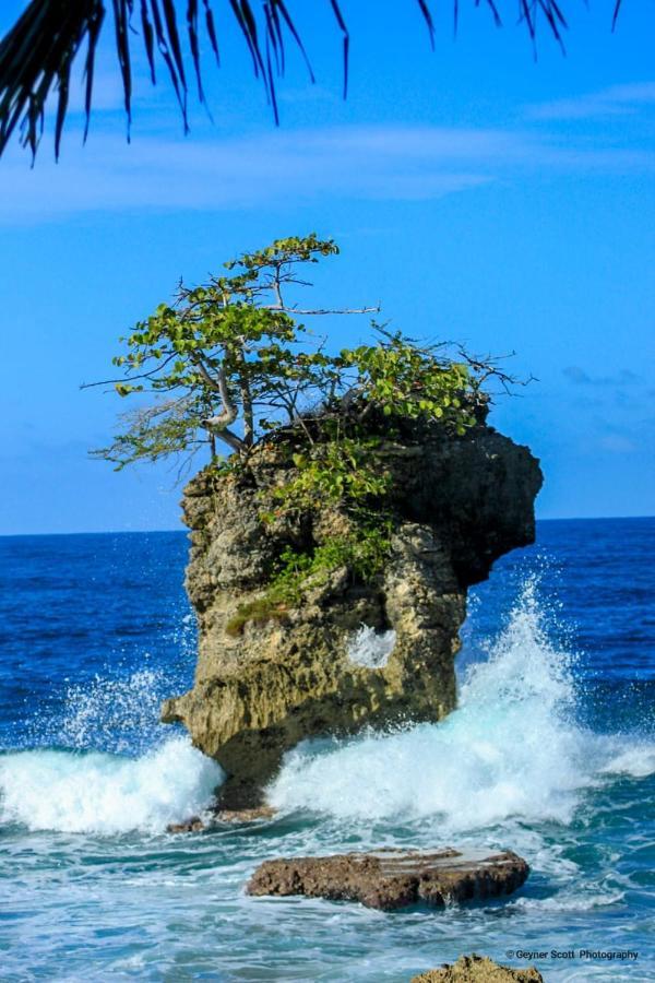 Cabinas Mitchaelle'S Puerto Viejo de Talamanca ภายนอก รูปภาพ