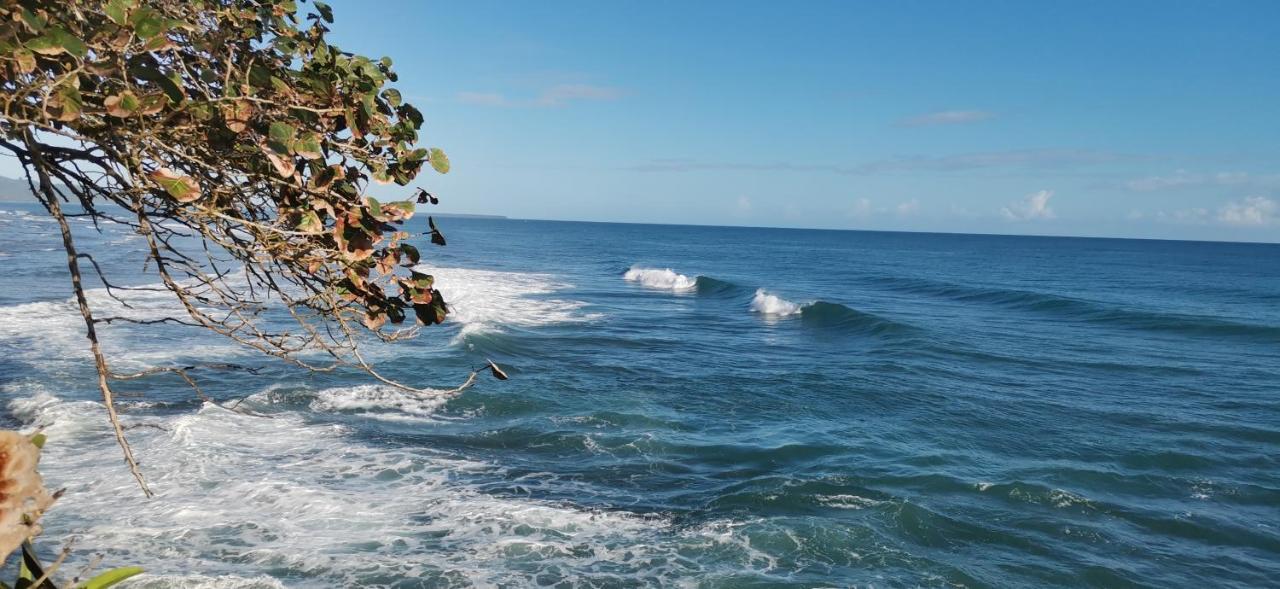 Cabinas Mitchaelle'S Puerto Viejo de Talamanca ภายนอก รูปภาพ