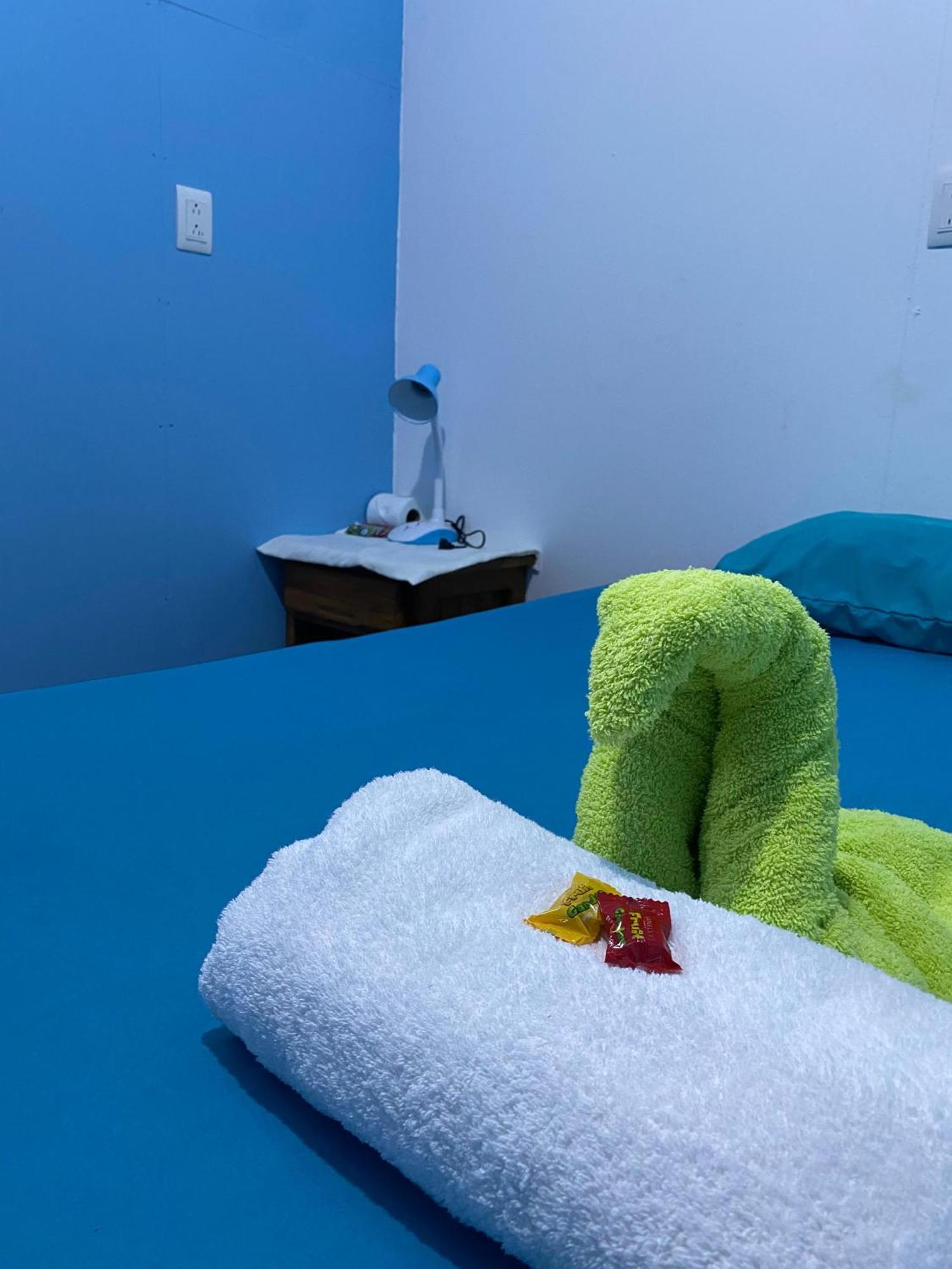 Cabinas Mitchaelle'S Puerto Viejo de Talamanca ภายนอก รูปภาพ